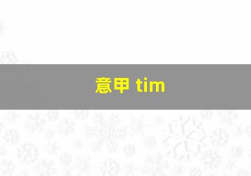 意甲 tim